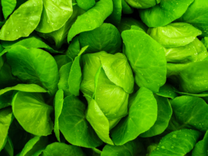 fresh green vegetables