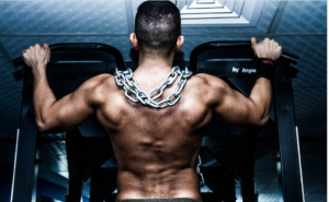 muscle building